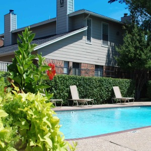 Pool area with bright green sweet potato vine