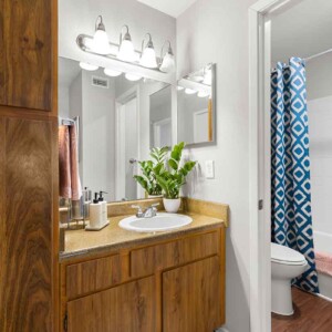 bathroom view 1