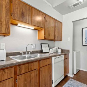kitchen sink and counter