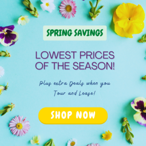 Spring Savings - Lowest prices of the season, plus tour & lease for extra deals.